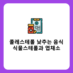 콜레스테롤 낮추는 음식 2: 식물 스테롤과 엽채소의 놀라운 효과!